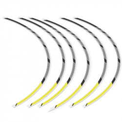 08F71-MLR-D80 : Liserés de jante avant Honda (19") Honda NX500